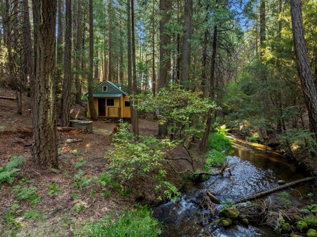 35425 Stonewall Drive, Shingletown CA: https://media.crmls.org/mediaz/d0c99b8b-08a3-43d6-8a79-2f9f29e854b1.jpg