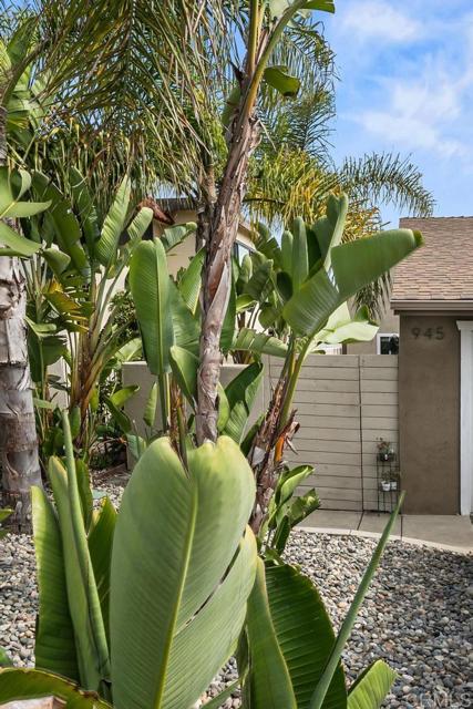 Detail Gallery Image 5 of 66 For 943 45 Windy Hill, Encinitas,  CA 92024 - 4 Beds | 4 Baths