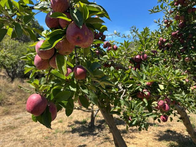 0 Sans Road, Corralitos CA: https://media.crmls.org/mediaz/d0d141fc-b862-402b-9485-56e10a1aba02.jpg