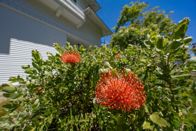 Detail Gallery Image 36 of 47 For 661 E Fir St, Fort Bragg,  CA 95437 - 3 Beds | 2 Baths