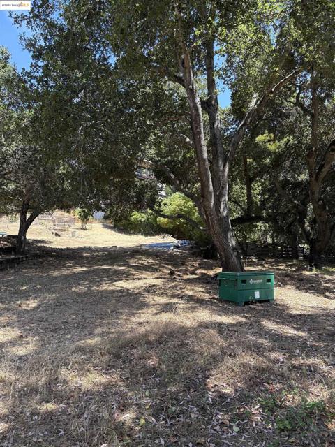 5415 Leona Street, Oakland CA: https://media.crmls.org/mediaz/d0e21279-7403-4278-8e63-d25ffed7f304.jpg
