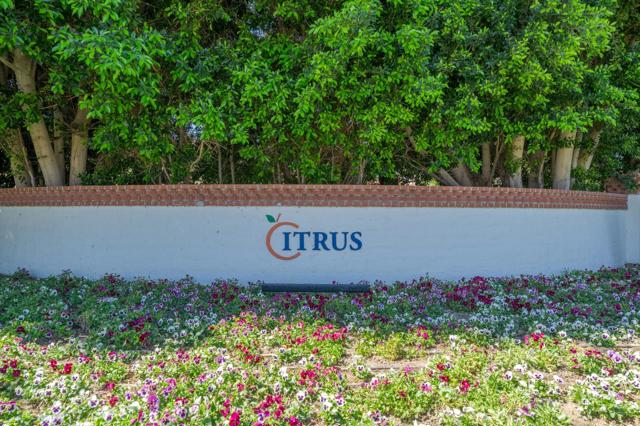 79885 Liga, La Quinta CA: https://media.crmls.org/mediaz/d0e9bf0a-5545-4591-96e4-c6975867bc44.jpg
