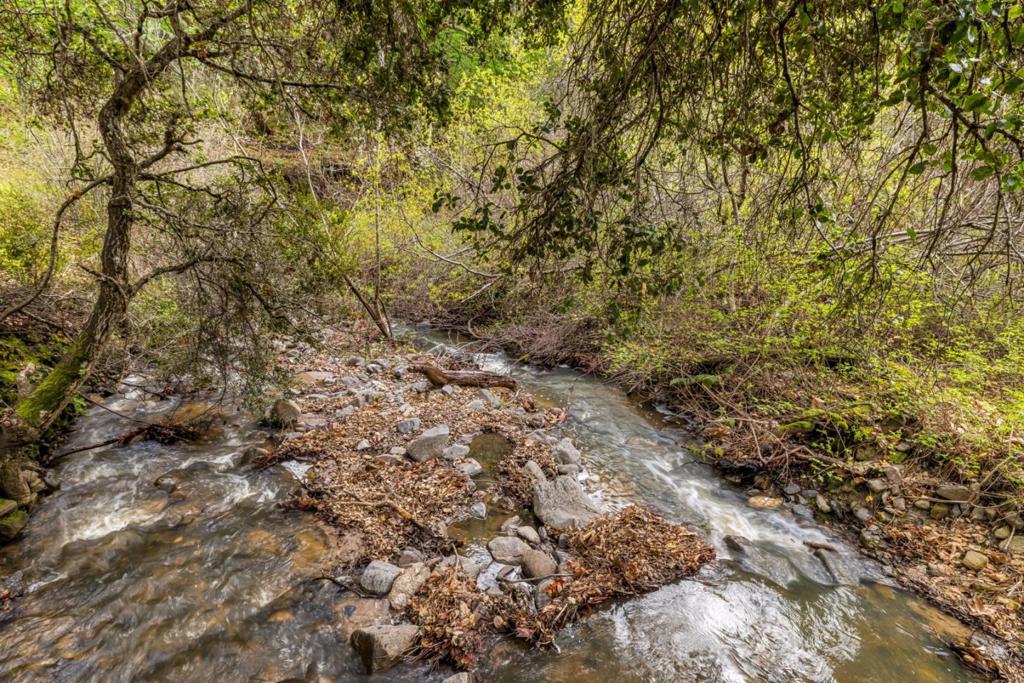 MLS #ML81999097 image #35