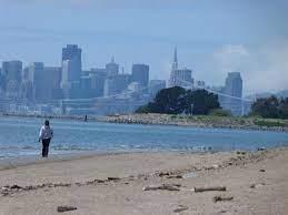 D0F72C93 4A2C 42Ea Ac48 C0Db35C8A981 2101 Shoreline Drive #437, Alameda, Ca 94501 &Lt;Span Style='BackgroundColor:transparent;Padding:0Px;'&Gt; &Lt;Small&Gt; &Lt;I&Gt; &Lt;/I&Gt; &Lt;/Small&Gt;&Lt;/Span&Gt;