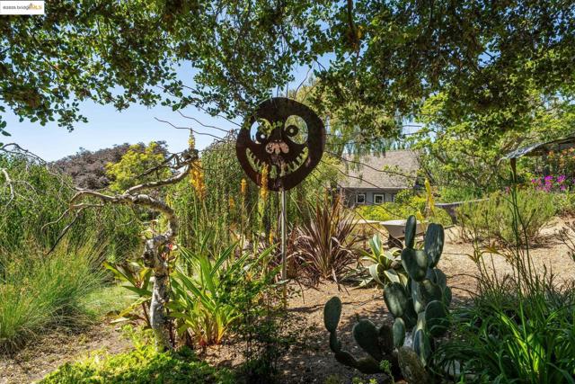 917 Avis Dr, El Cerrito CA: https://media.crmls.org/mediaz/d0fbc258-6a25-436b-89c6-c9444f54a87c.jpg