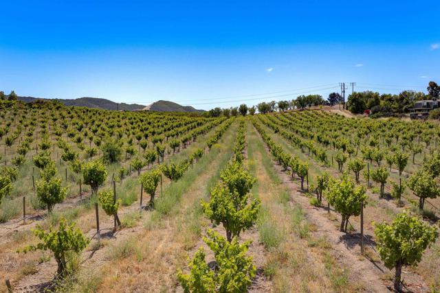 5720 Vista Serrano Way, Paso Robles CA: https://media.crmls.org/mediaz/d104db00-5bcf-4aad-a479-d07db6367a48.jpg
