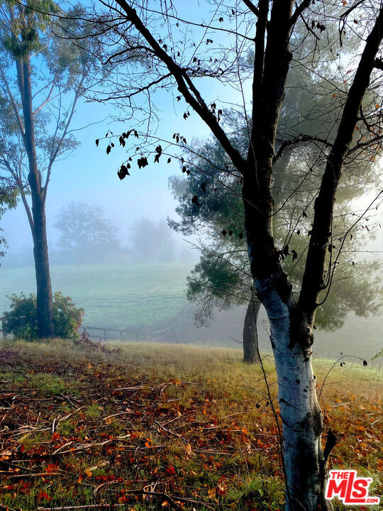 https://media.crmls.org/mediaz/d10be6da-9c6b-495f-8525-9555b7b0fba1.jpg?preset=X-Large
