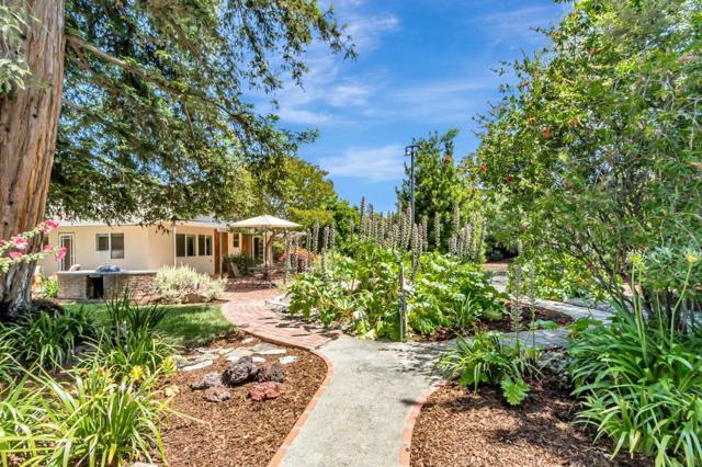 14805 Acton Drive, San Jose CA: https://media.crmls.org/mediaz/d10ddb8e-8fdc-42eb-b2cc-6846ddb2fced.jpg