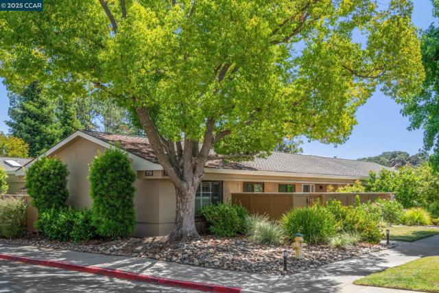 1736 Golden Rain Rd, Walnut Creek CA: https://media.crmls.org/mediaz/d116b6ef-44e1-44b5-afbe-74aa99623aef.jpg