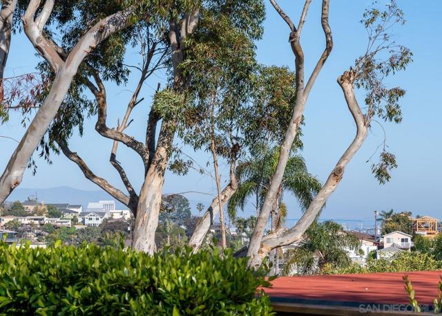 3733 La Cresta Dr, San Diego CA: https://media.crmls.org/mediaz/d11b1dfd-6734-42e0-a5ac-75e64b9d9c59.jpg