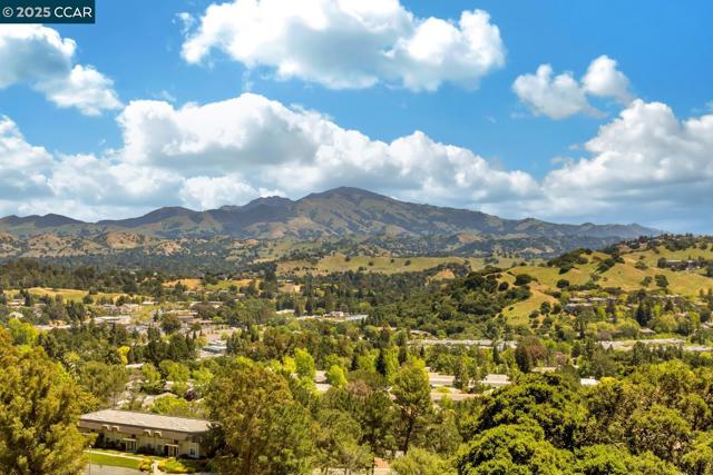 2155 Cactus Ct, Walnut Creek CA: https://media.crmls.org/mediaz/d1221c74-0eda-4cdd-8b9f-9ebdf75c3aec.jpg