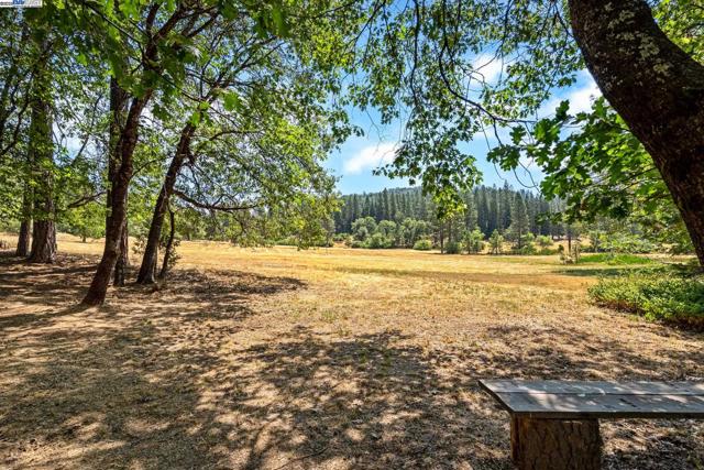 23875 Marshall Way, Twain Harte CA: https://media.crmls.org/mediaz/d12e075a-ee44-4cb1-90b0-f6f22d8d0fd5.jpg