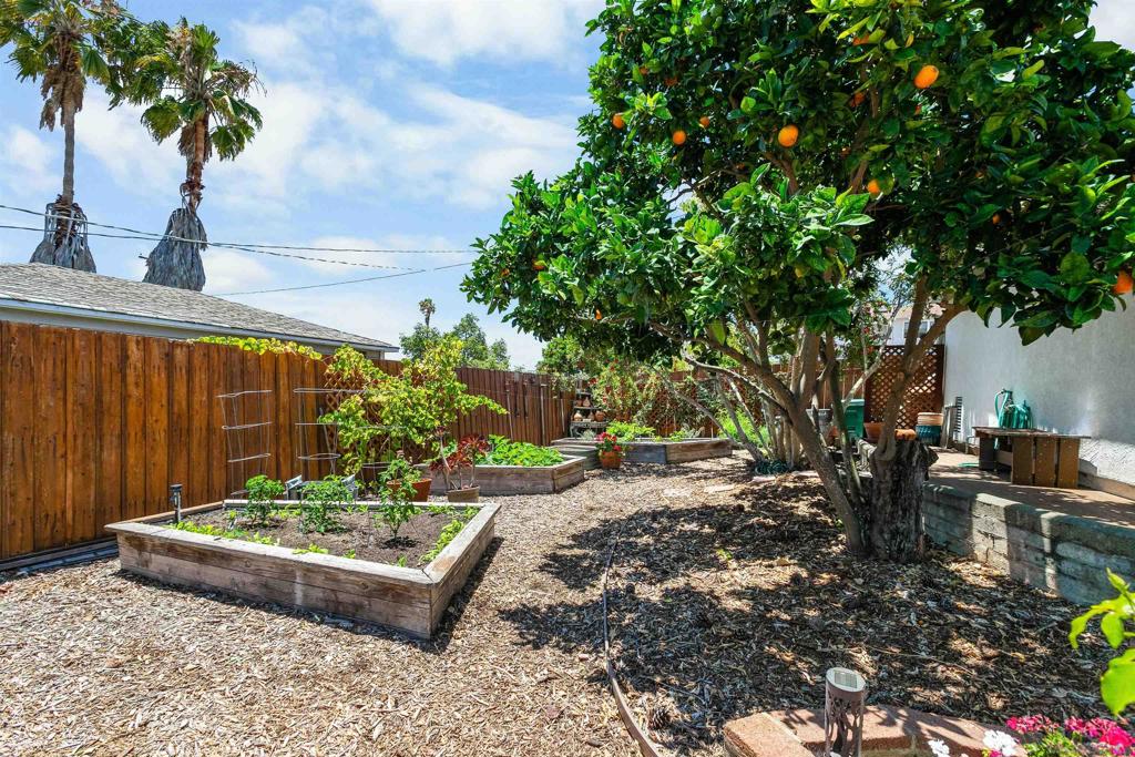 4375 Del Monte - photo 7