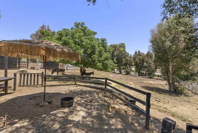 3860 Las Flores, Fallbrook CA: https://media.crmls.org/mediaz/d13435fb-054c-4ad1-ad02-517a9086c92b.jpg