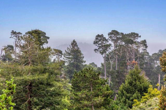 0 Pine Ridge Way, Carmel CA: https://media.crmls.org/mediaz/d1357146-8e37-4ea3-b845-661d1e66777c.jpg