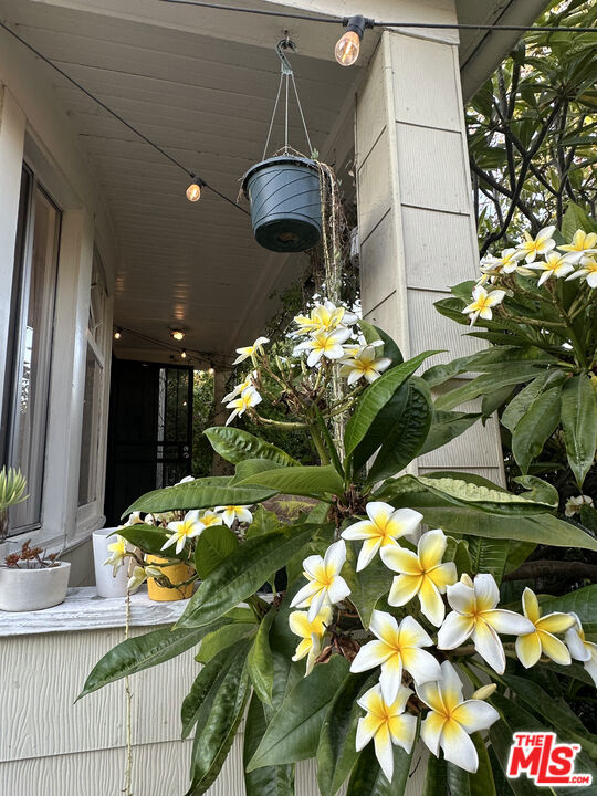 437 S Avenue 20, Los Angeles CA: https://media.crmls.org/mediaz/d13ac6e9-fc91-4e7d-9b22-e0c4a270427f.jpg