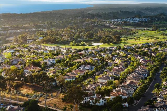 Detail Gallery Image 46 of 50 For 523 Samuel Ct, Encinitas,  CA 92024 - 4 Beds | 4/1 Baths
