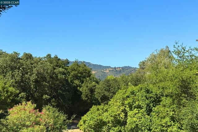 47 Kentfield Ct, Alamo CA: https://media.crmls.org/mediaz/d13e838a-62bc-4f9e-988d-88f549a8f079.jpg