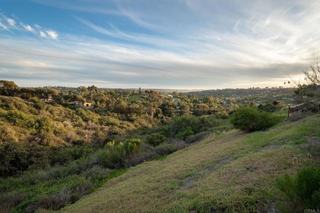 Detail Gallery Image 63 of 75 For 7992 Paseo Esmerado, Carlsbad,  CA 92009 - 5 Beds | 6/1 Baths