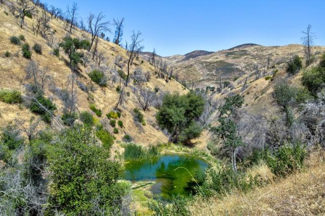 14600 Del Puerto Canyon Road, Newman CA: https://media.crmls.org/mediaz/d146b918-d377-4e02-a480-8562d67410ab.jpg