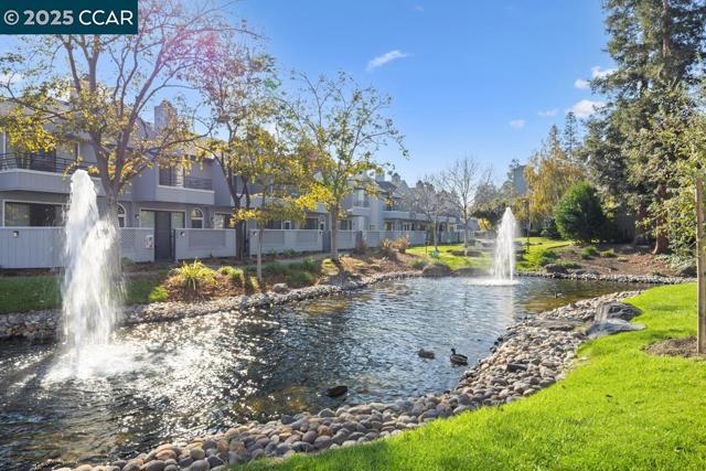 231 Sunspring Ct, Pleasant Hill CA: https://media.crmls.org/mediaz/d149d37c-83bf-4624-92fb-c2c212964670.jpg