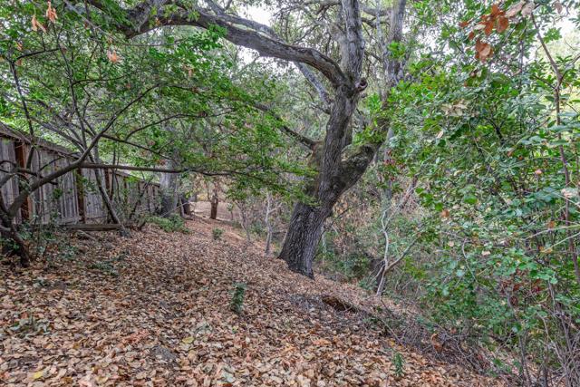 10961 Kester Drive, Cupertino CA: https://media.crmls.org/mediaz/d152afa6-0939-44ed-a7cb-5e10b1298321.jpg