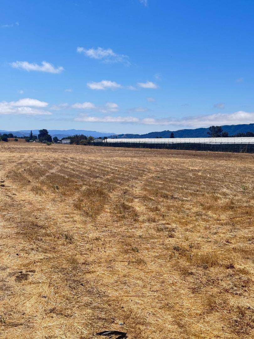 MLS #ML82018888 image #5