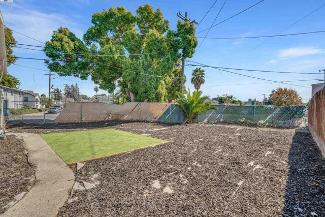 Side Yard