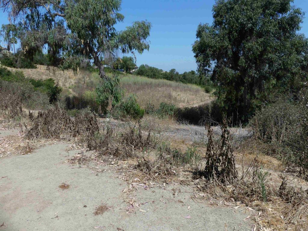 Paradise Glen Way San Marcos - photo 18