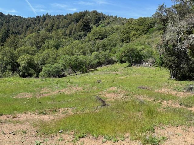 7175 Redwood Retreat Road, Gilroy CA: https://media.crmls.org/mediaz/d1614b30-0d37-4e62-a1e2-0992800cc61f.jpg