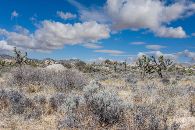 Image 15 of 26 For 101 Hondo Street