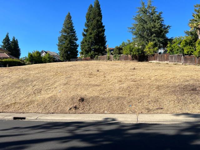 102 Black Gold Lane, Folsom CA: https://media.crmls.org/mediaz/d1635f25-fffc-4949-ae70-781584de0618.jpg