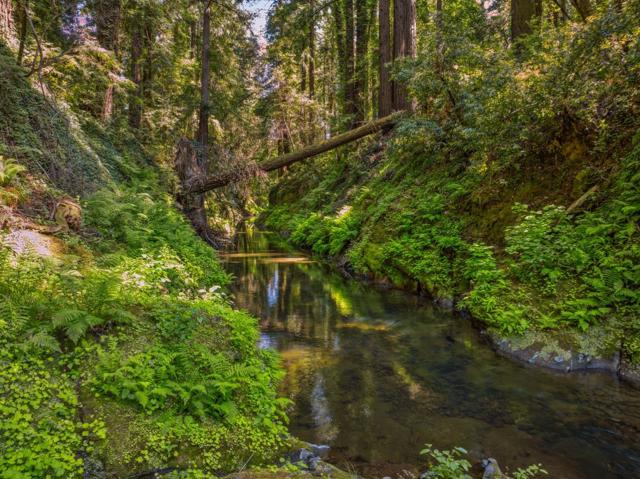 0 Highway 9, Boulder Creek CA: https://media.crmls.org/mediaz/d1675147-80d1-4406-b1bd-7e7c17a90d63.jpg