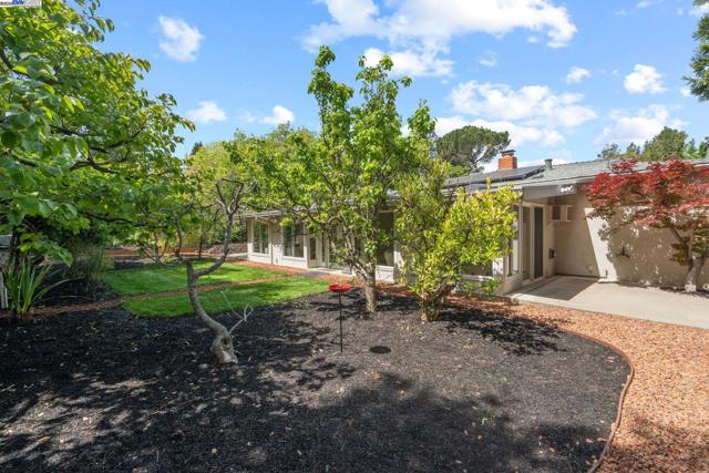 2371 Mallard Dr, Walnut Creek CA: https://media.crmls.org/mediaz/d16ecf4b-3448-4c1a-9687-e7c47ee2bad2.jpg