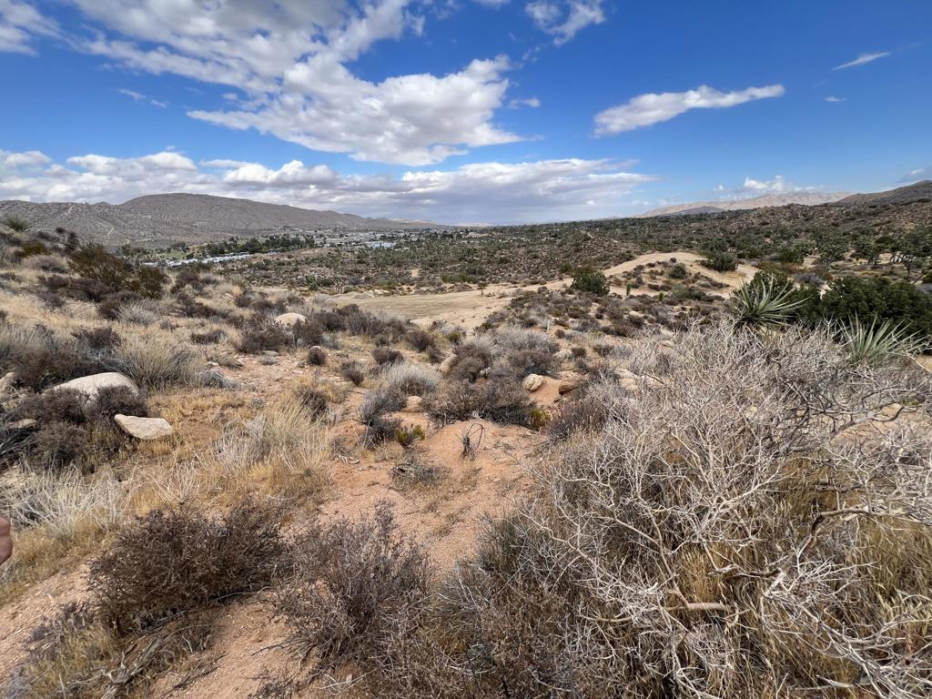 MLS #219138996DA image #7