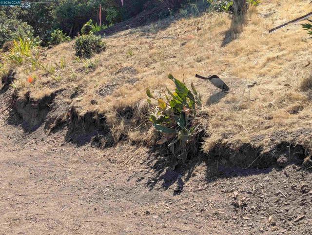 13 St. James Ct., Orinda CA: https://media.crmls.org/mediaz/d177bc42-9502-4832-ae55-1c9e4da8c30e.jpg