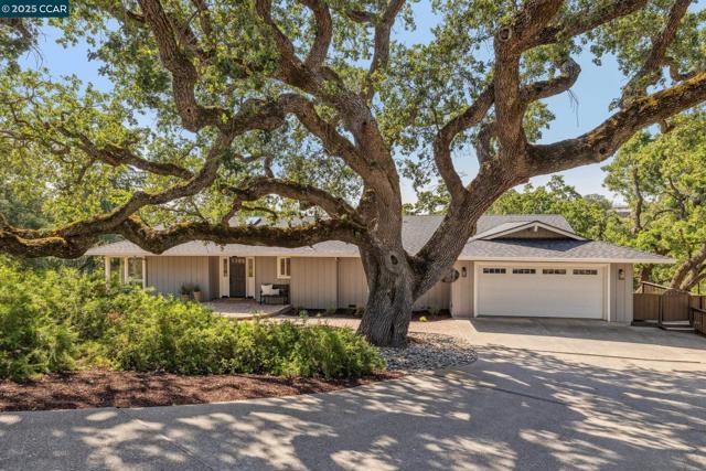 561 Morecroft Road, Lafayette CA: https://media.crmls.org/mediaz/d19ad0ce-6da6-4bad-817d-bc483cece986.jpg