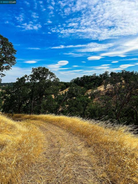 0 Lot 22 Rolling Oaks, Cottonwood CA: https://media.crmls.org/mediaz/d19f7ed6-dcc4-425b-ade3-85a61d6a81f9.jpg