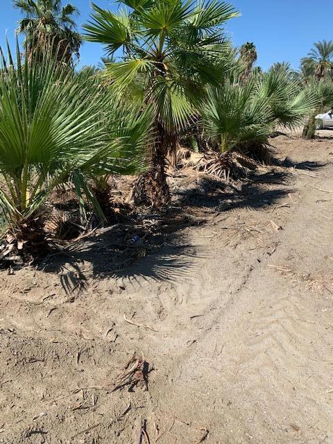 79 Avenue 38, Indio, CA 92203