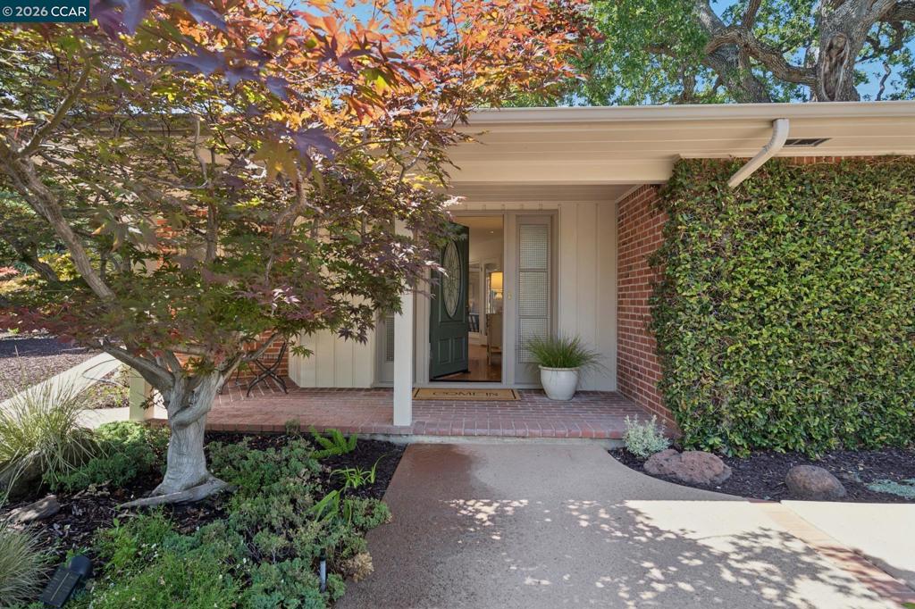 20 Santa Rita Dr