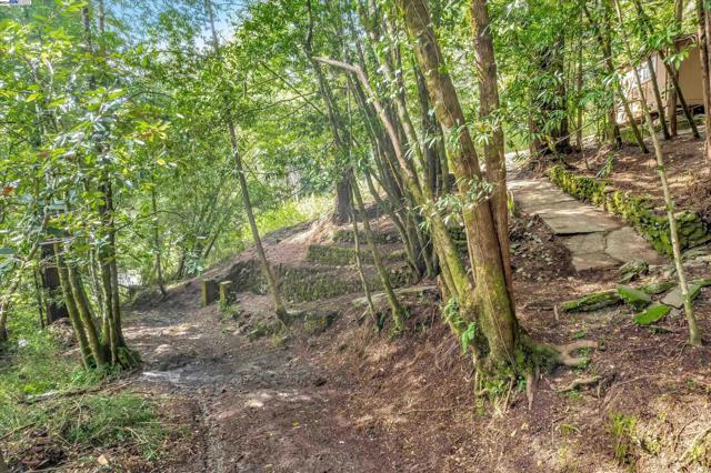 Image 11 of 12 For 21409 Hazel Way