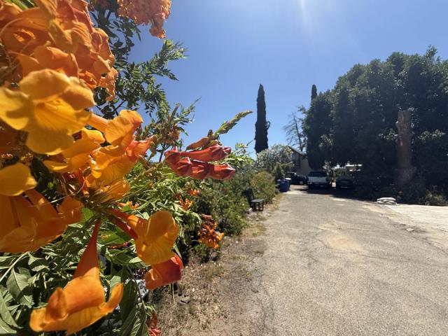 39182 Daily Road, Fallbrook CA: https://media.crmls.org/mediaz/d1badef1-a5fc-40b0-b0d9-bd9a2624df5d.jpg