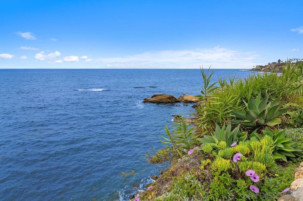 MLS #250037432SD image #48