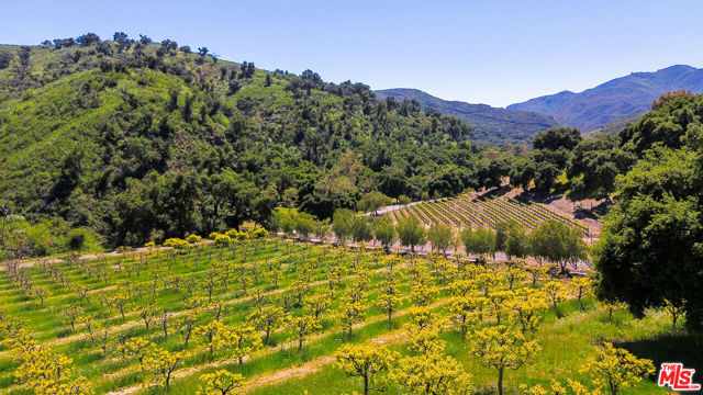 Drew Fenton | 28980 Newton Canyon Road Malibu CA | MLS: 7048369