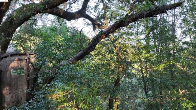 5051 Harrison Grade Rd, Sebastopol CA: https://media.crmls.org/mediaz/d1bf83ad-780d-411c-868d-40bd06902ead.jpg