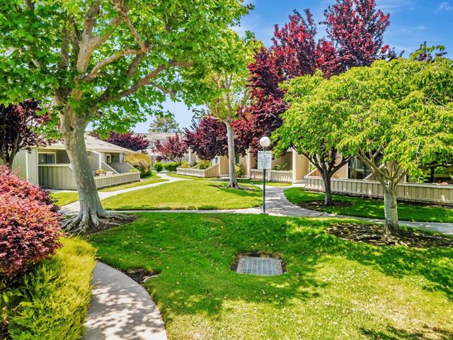 823 Perseus Lane, Foster City CA: https://media.crmls.org/mediaz/d1c8e651-6b84-458b-9d51-518007fd7e0f.jpg
