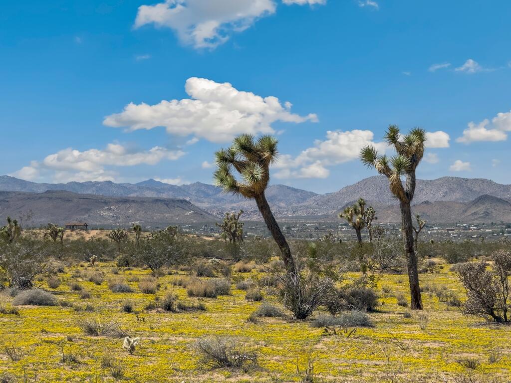 https://media.crmls.org/mediaz/d1cb78a5-7cad-437f-b33f-7f4049c820f7.jpg?preset=X-Large