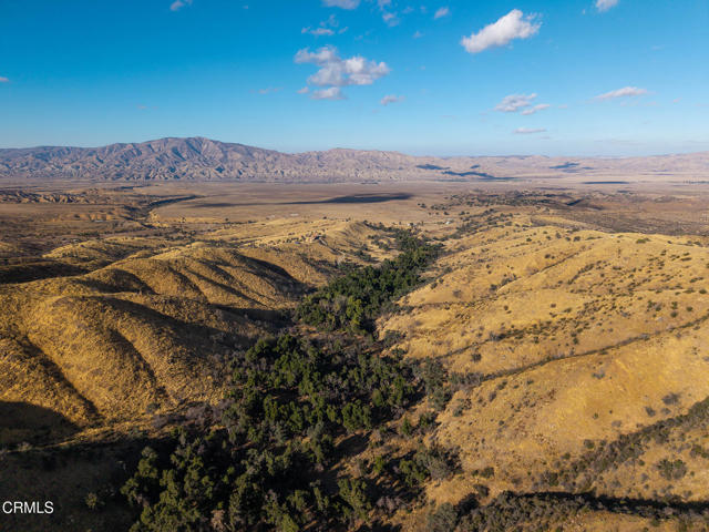 Detail Gallery Image 35 of 52 For 7451 Foothill Rd, –,  CA 93254 - – Beds | – Baths