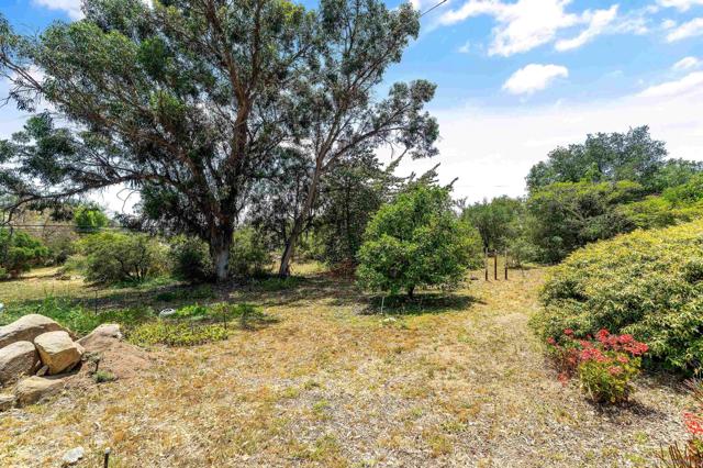 6132 Rainbow Heights Rd, Fallbrook CA: https://media.crmls.org/mediaz/d1d78f47-c3b8-435e-8218-c83c729d9d67.jpg
