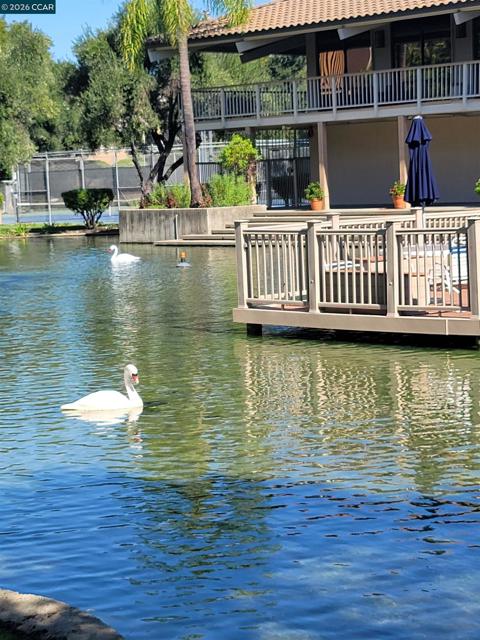 310 N Civic Dr., Walnut Creek CA: https://media.crmls.org/mediaz/d1f1fce4-033b-4b53-8c9c-8e3492f38489.jpg